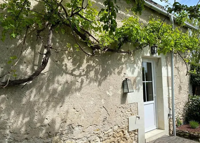 La Maison Des Anges Avec Jardin : Proche Beauval